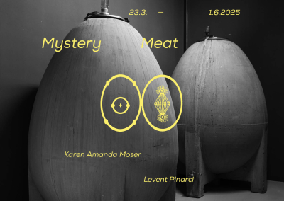 Mystery Meat