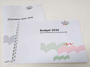 Finanzplan 2025–2029 und Budget 2025