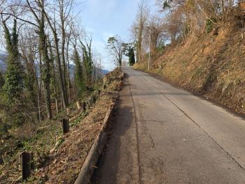 Holzschlag Hartlisbergstrasse abgeschlossen