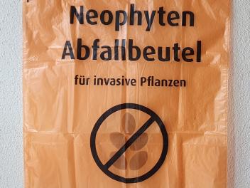 Neuer Abfallsack für Problempflanzen