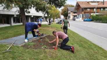 Als Teamanlass sämtlicher Anlagewartinnen und Anlagewarte der Gemeinde wird der Grundstein für ein blühendes Paradies bei der Sportanlage Musterplatz gelegt.