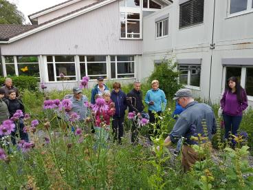 Der Kreisel wird der Bevölkerung an einer öffentlichen Veranstaltung vorgestellt, aber nicht nur. Die Teilnehmenden lernen die Lebensweise und die Ansprüche der Wildbienen kennen.