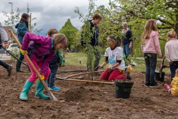 Der Natur- und Vogelschutzverein leitet die Bevölkerung am Pflanztag an.