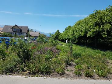 Der Mustergarten nach einem Jahr.
