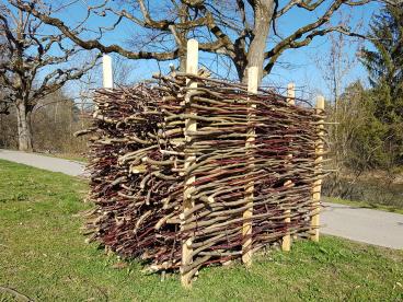 Später kommen Benjeshecken dazu.