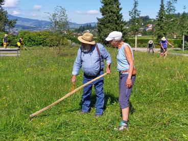 Veranstaltung "Mähen mit der Sense – ein Beitrag für mehr Biodiversität."