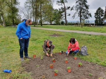 Die Teilnehmenden helfen bei der Initialbepflanzung mit.