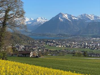 Leiter/in Abteilung Präsidiales 100 % in der Funktion des/der Gemeindeschreiber/in